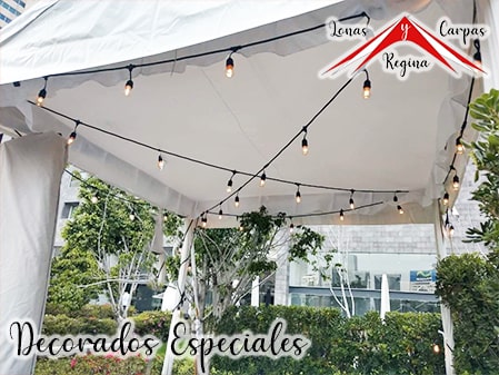 carpa decorada especial